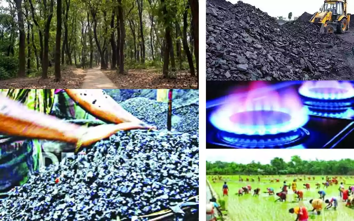 Rising Cumilla.Com - Natural resources of Bangladesh