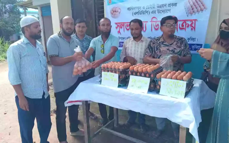 Rising Cumilla - Cumilla Animal Husbandry Department selling cheap eggs