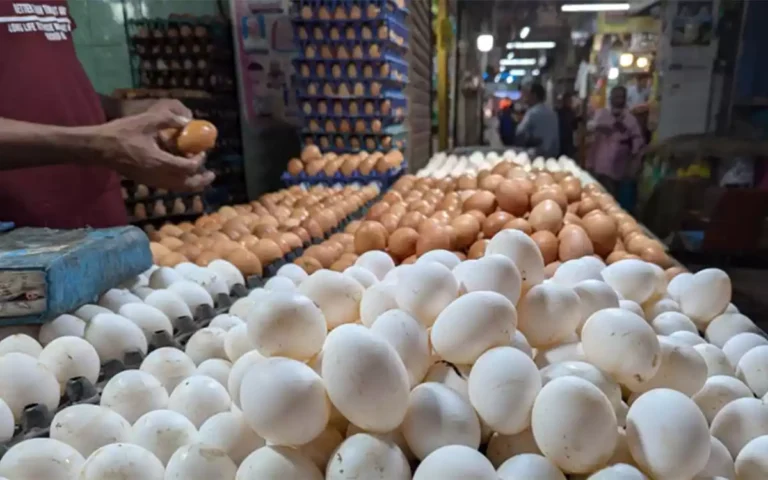 Rising Cumilla - EGG