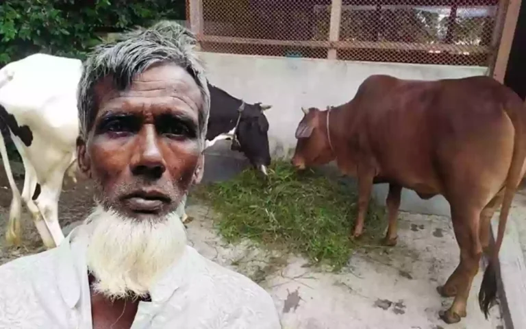 Rising Cumilla - 'I have stolen 2 of your cows, forgive me'