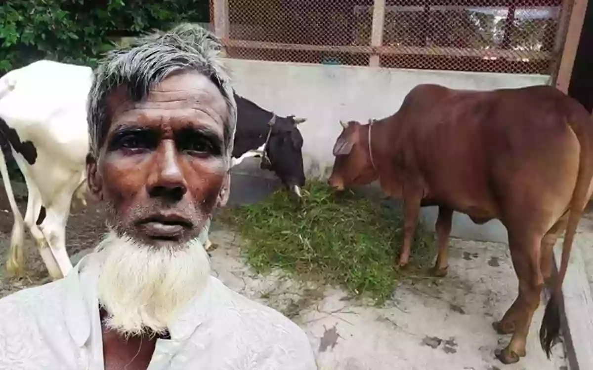 Rising Cumilla - 'I have stolen 2 of your cows, forgive me'