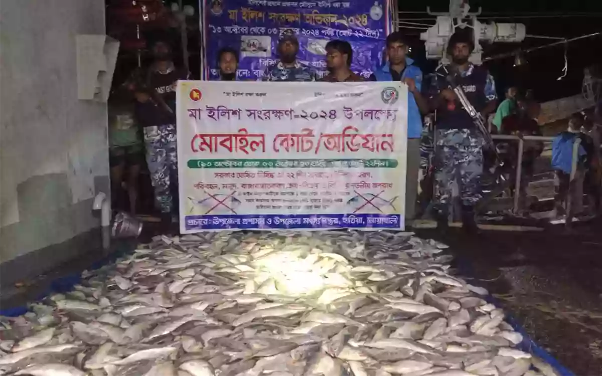Rising Cumilla - The seized hilsa went to the orphanage