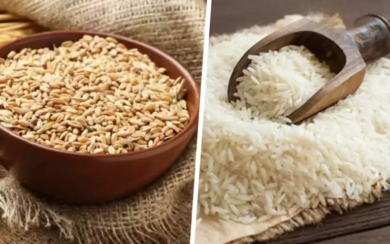 Rising Cumilla - Wheat and rice