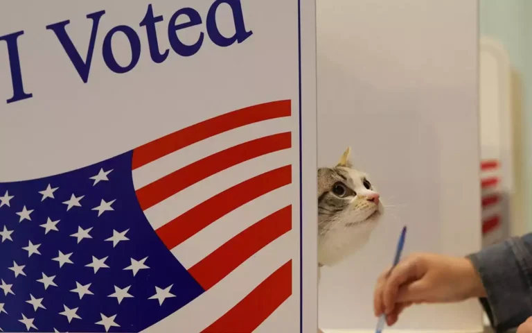 RisingCumilla.Com - US presidential election