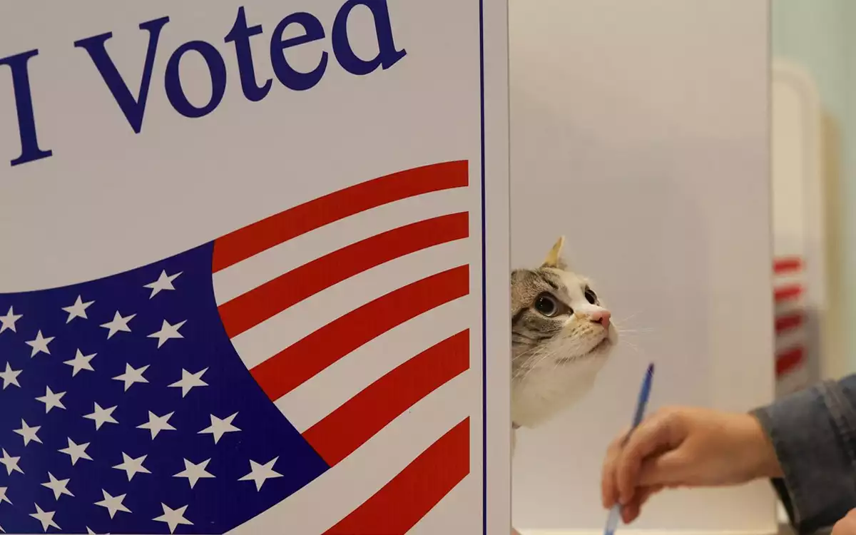 RisingCumilla.Com - US presidential election