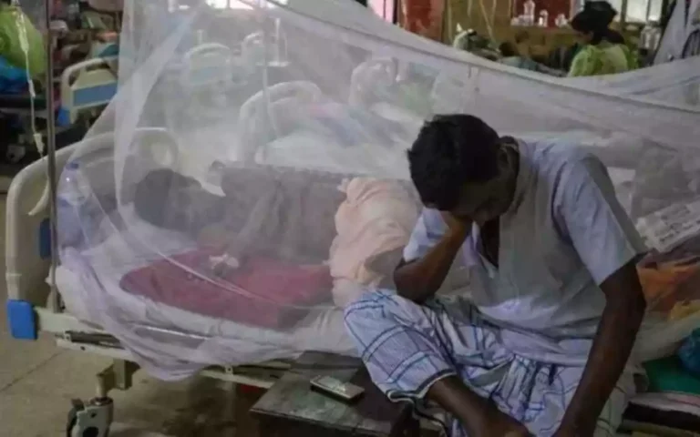 RisingCumilla.Com - Dengue