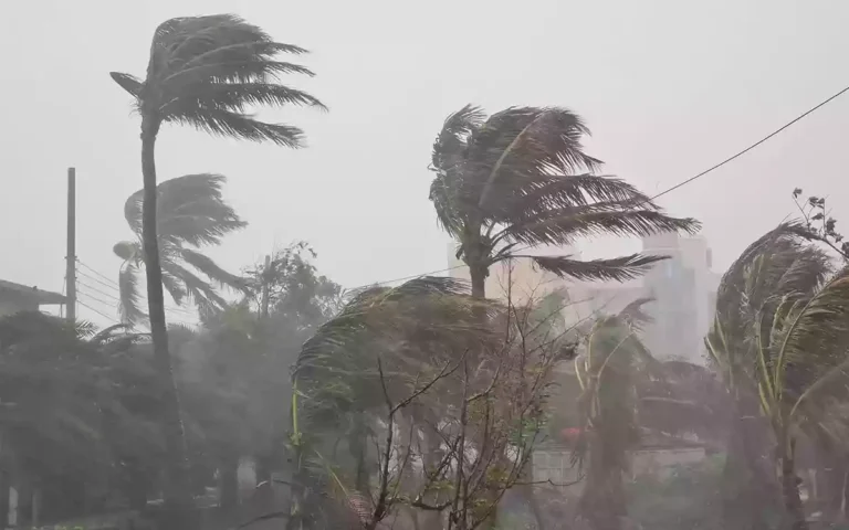 RisingCumilla.Com - storm