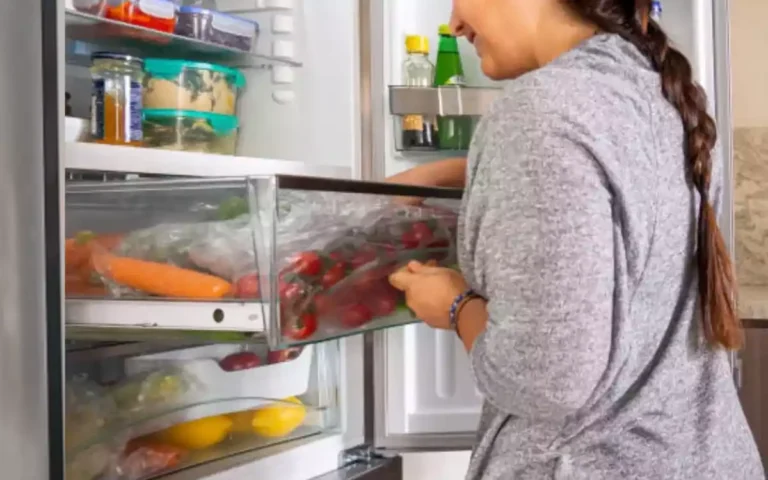 Rising Cumilla - Fridge