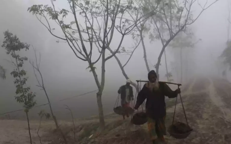 Rising Cumilla - Winter