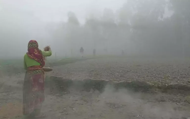 Rising Cumilla - Winter.webp