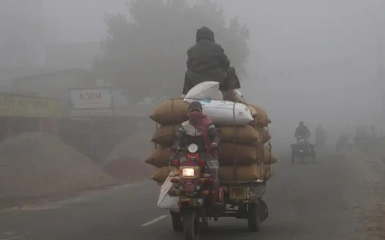 Rising Cumilla - Winter