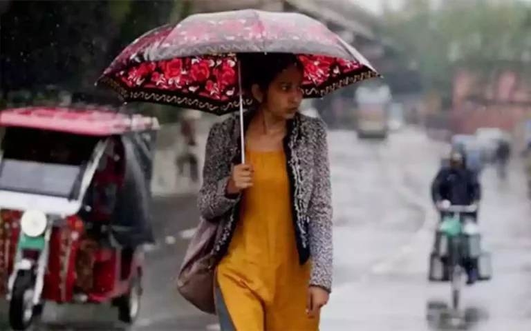 Rising Cumilla - Winter Rain