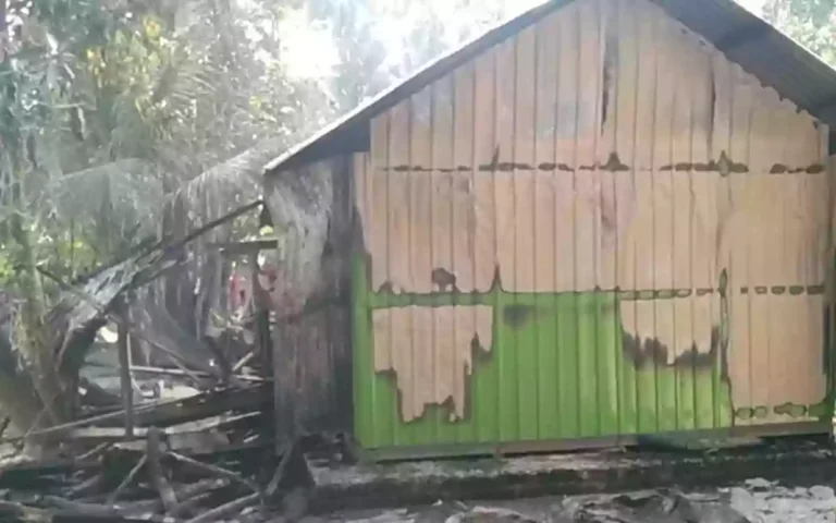 3 cows burnt to death in cowshed fire in Noakhali