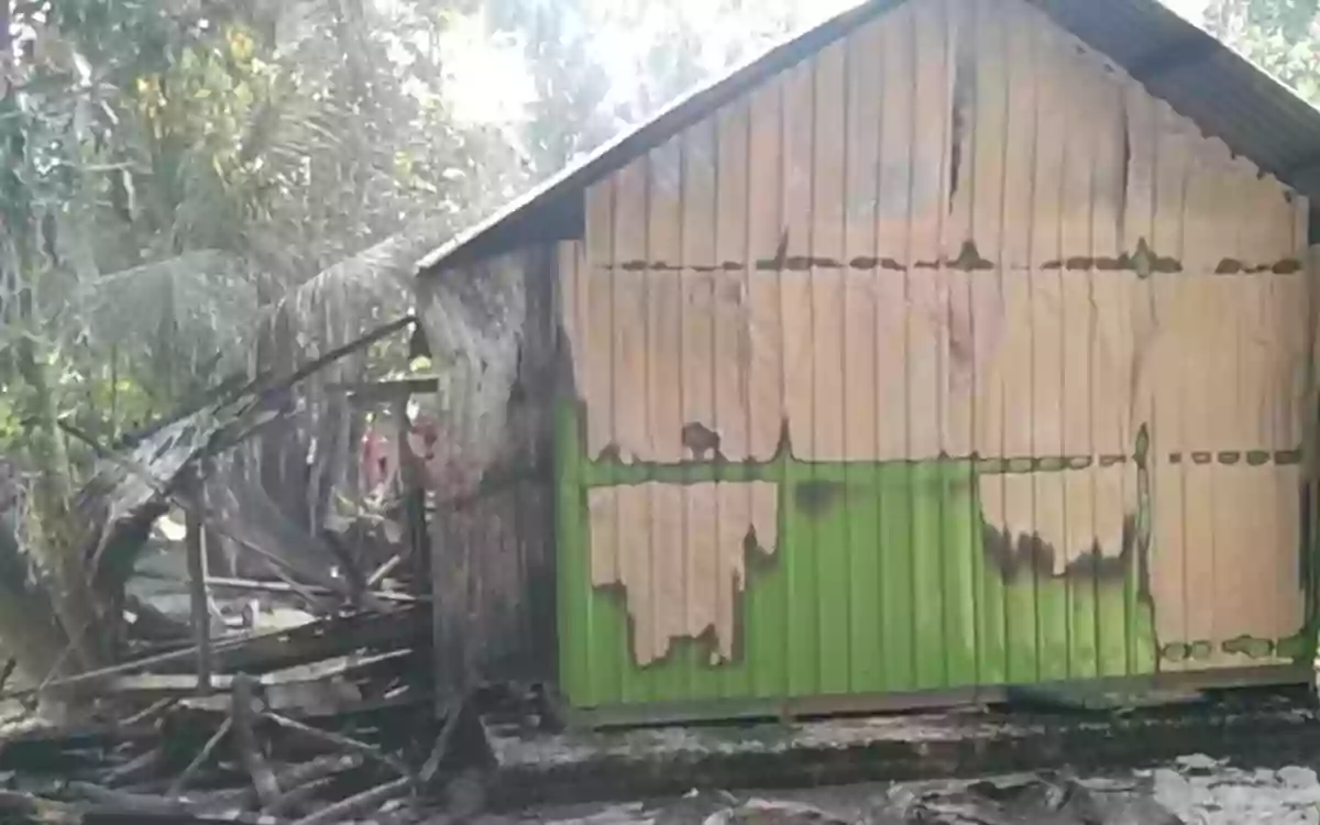 3 cows burnt to death in cowshed fire in Noakhali