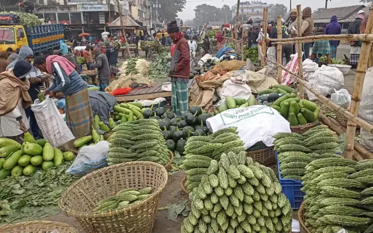 Rising Cumilla - Cumilla Nimsar Bazar