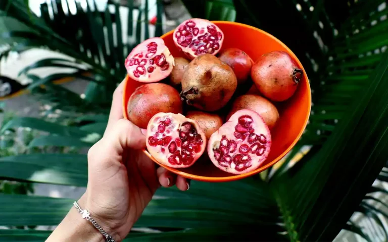 Rising Cumilla - Pomegranate