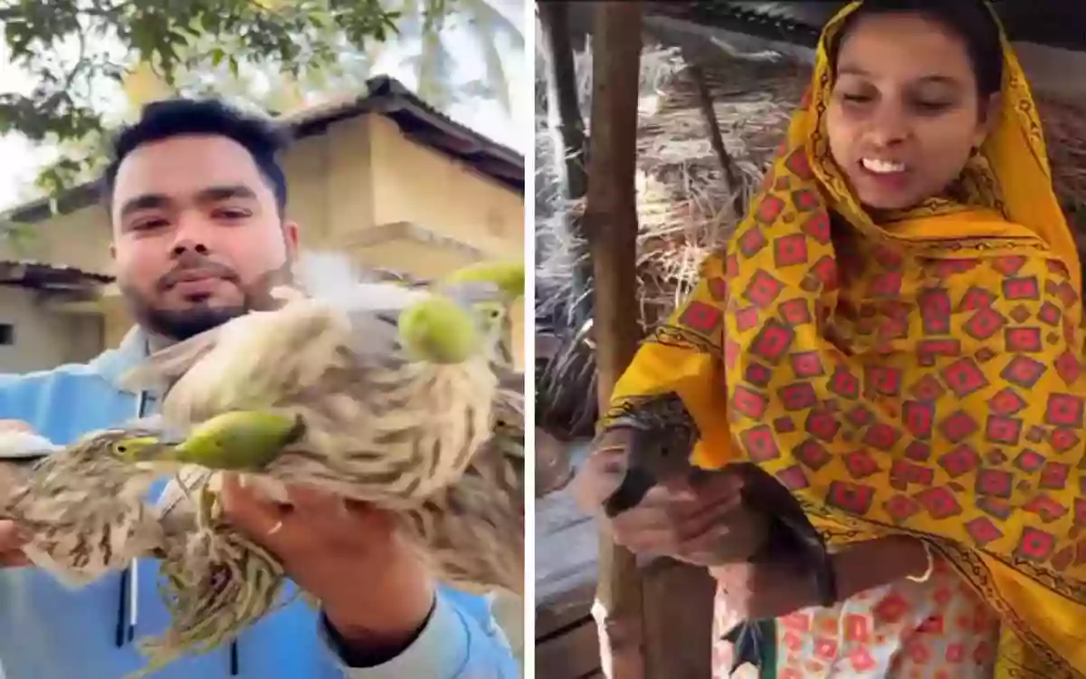 The forest department is looking for two vloggers