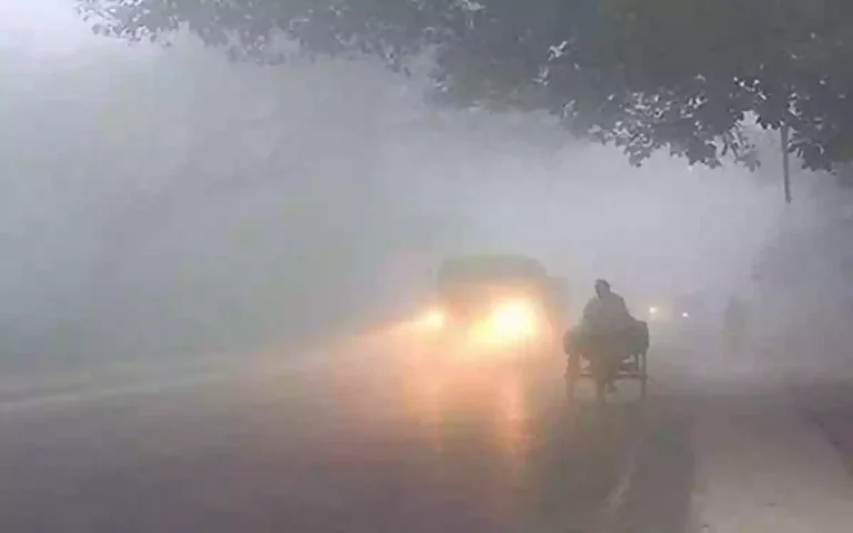 Rising Cumilla - Winter Night