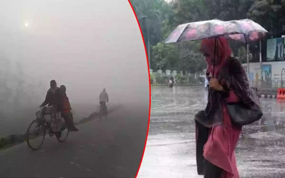 Rising Cumilla - Winter