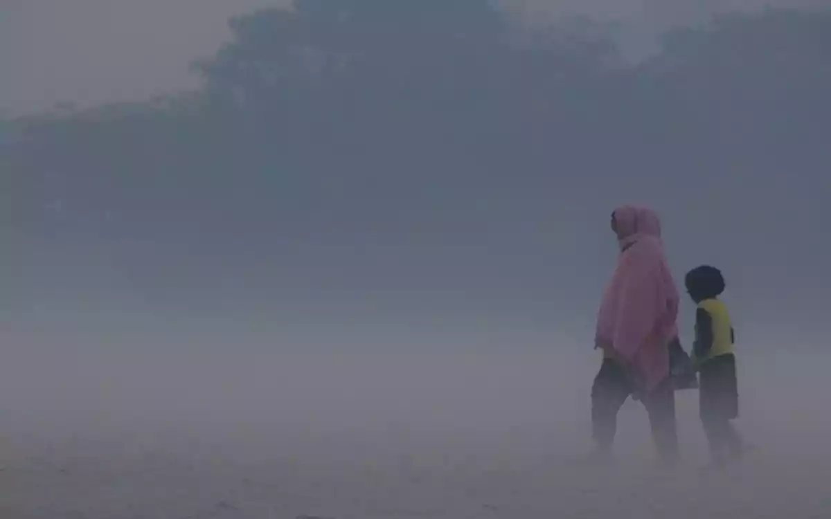 শীতে কাঁপছে কুমিল্লা, তাপমাত্রা নামলো ১৪ ডিগ্রিতে