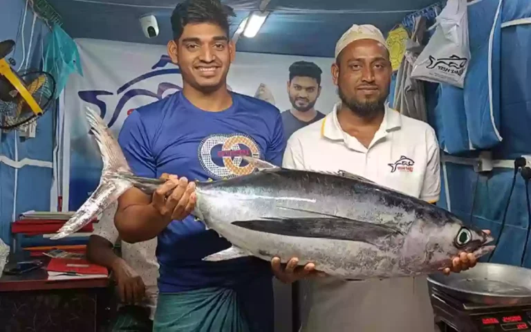 Rising Cumilla - 18 kg tuna caught in fisherman's net, tourists flock to see it
