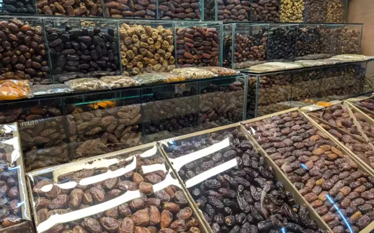 Rising Cumilla - Date palm