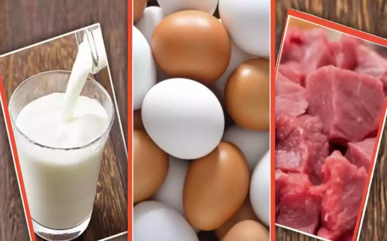 Eggs, milk and meat