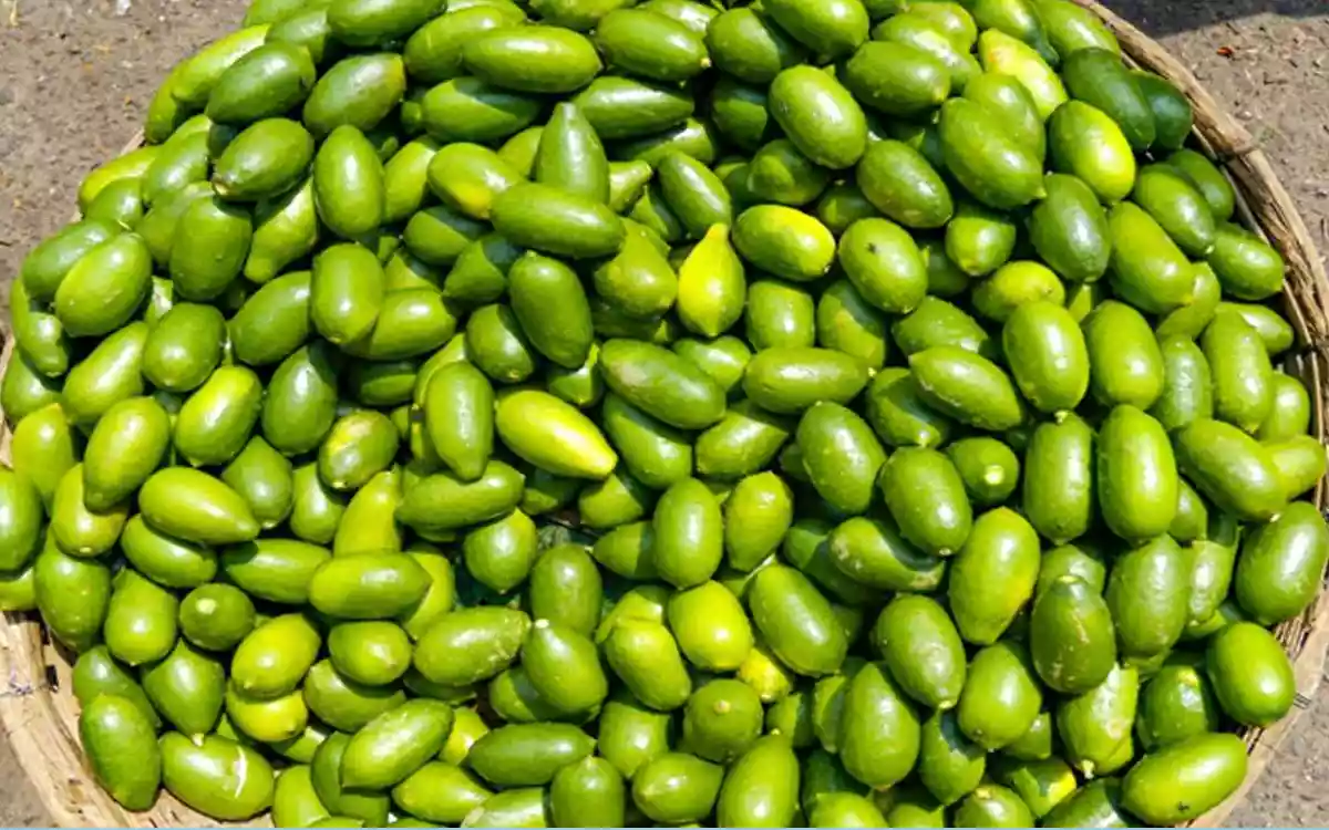 Rising Cumilla - Lemon