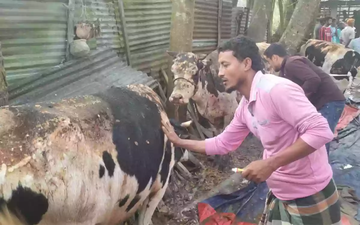 Miscreants set fire to cowshed after trapping farmer, 8 cows burnt