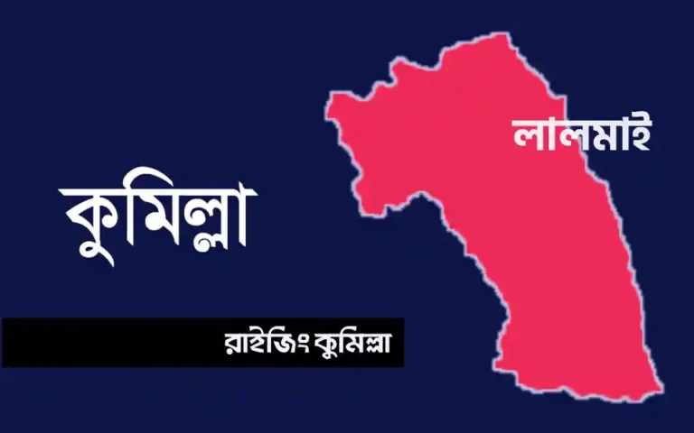 লালমাইয়ে প্রবাসীর স্ত্রীকে হত্যাচেষ্টা, অভিযুক্ত শাশুড়ি ও স্বজনরা