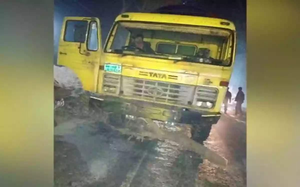 30 cars robbed by throwing trees on the road at midnight