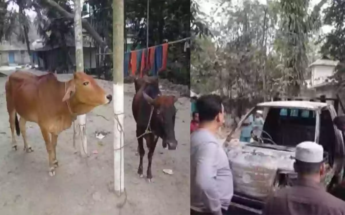 Locals burn pickup van after gang of thieves steal cows after losing their way