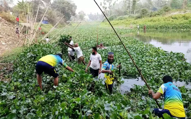 Removal of obstacles on the bottom of the Dakatia River in Laksam, Comilla