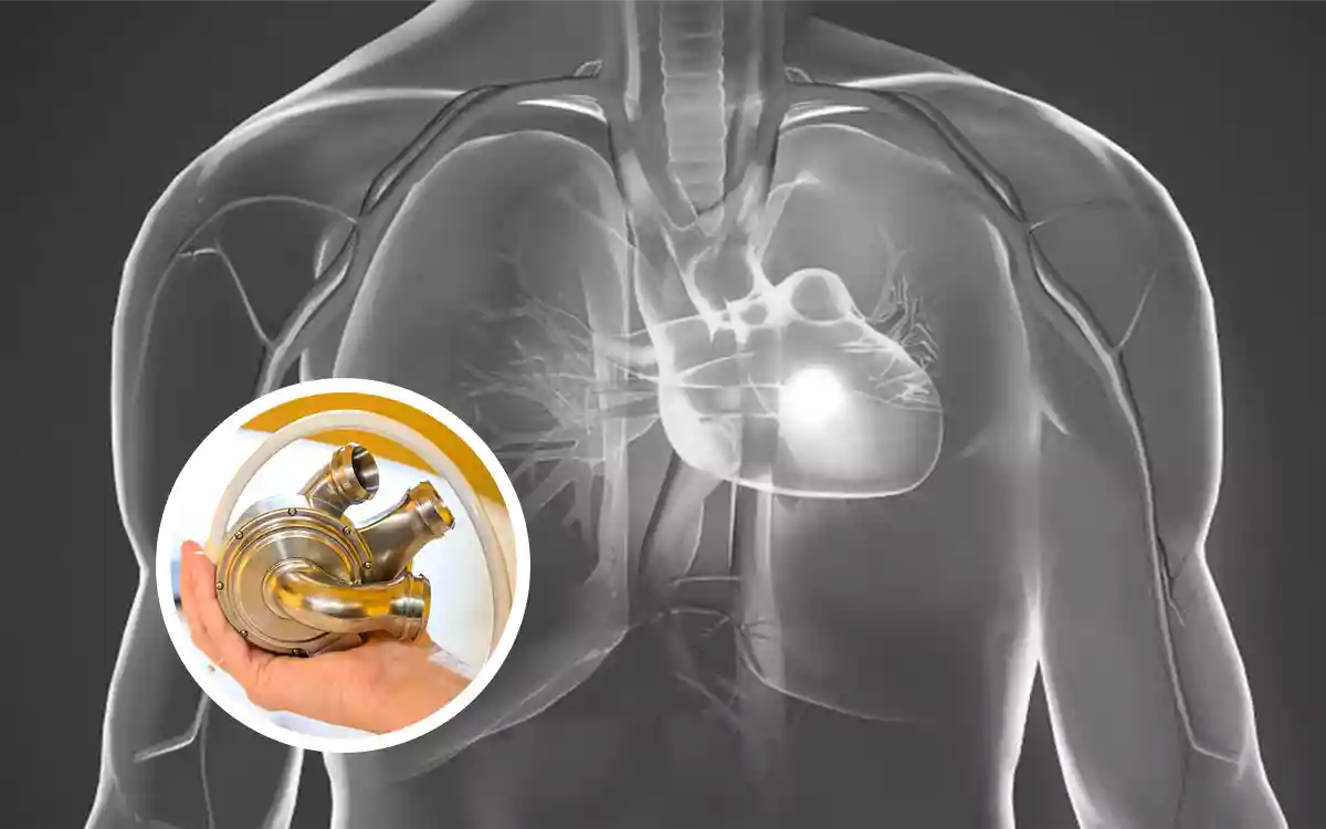 RisingCumilla - Artificial Heart