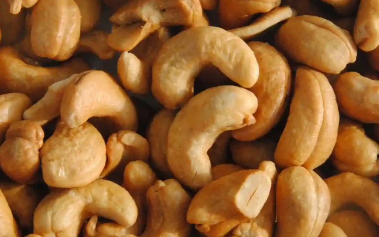 আখাউড়া স্থলবন্দর দিয়ে ৬ টন কাজুবাদাম আমদানি