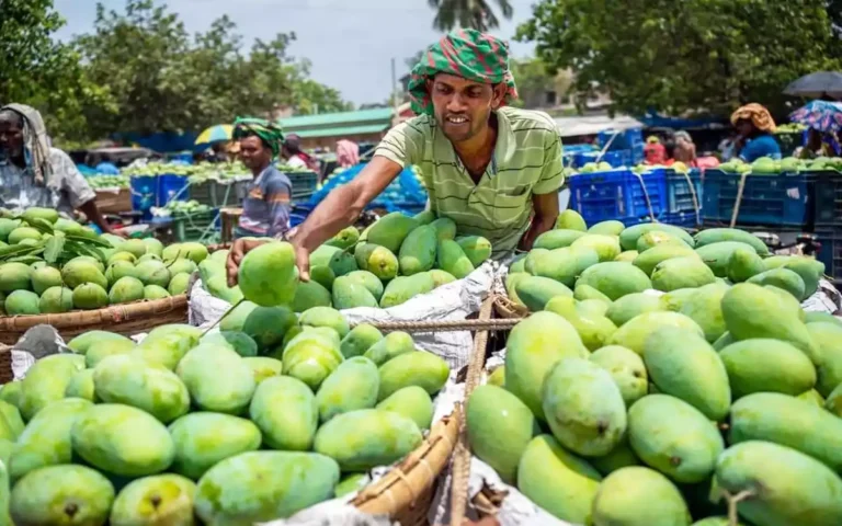 কুমিল্লাসহ ২১টির বেশি জেলায় ৪৮ ঘণ্টার মধ্যে আম পৌঁছে দেবে ডাক বিভাগ