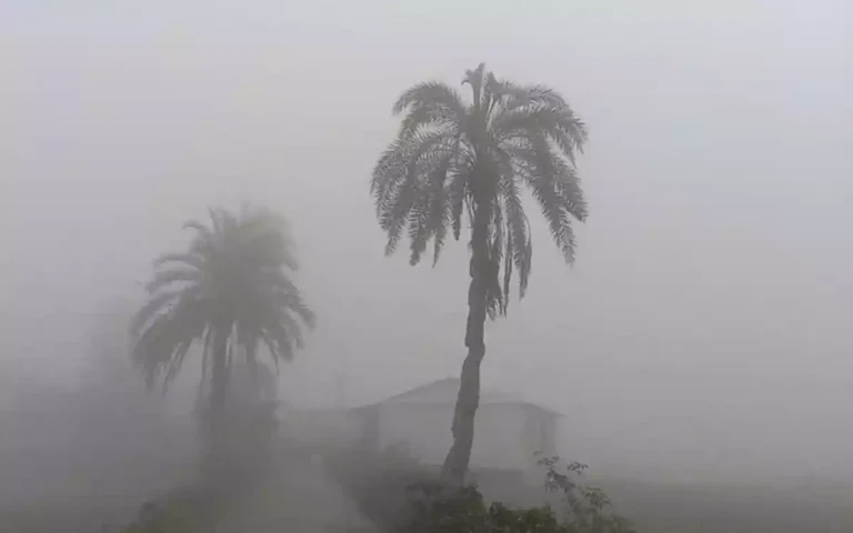 Winter fog