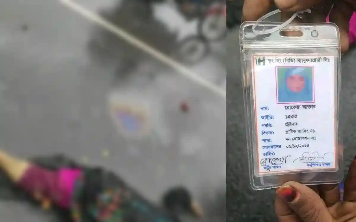 কুমিল্লায় তিশা প্লাটিনাম বাসের ধাক্কায় নারী নিহত