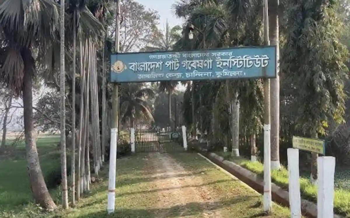 চান্দিনা বিদ্যুতের কাজ করতে যেয়ে বিদ্যুৎ কর্মীর মৃত্যু