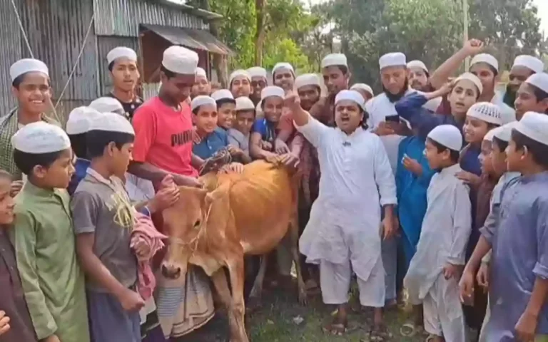 'Child speaker' Madani slaughters cow and feeds biryani to locals after Awami League is banned