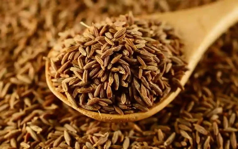 Cumin