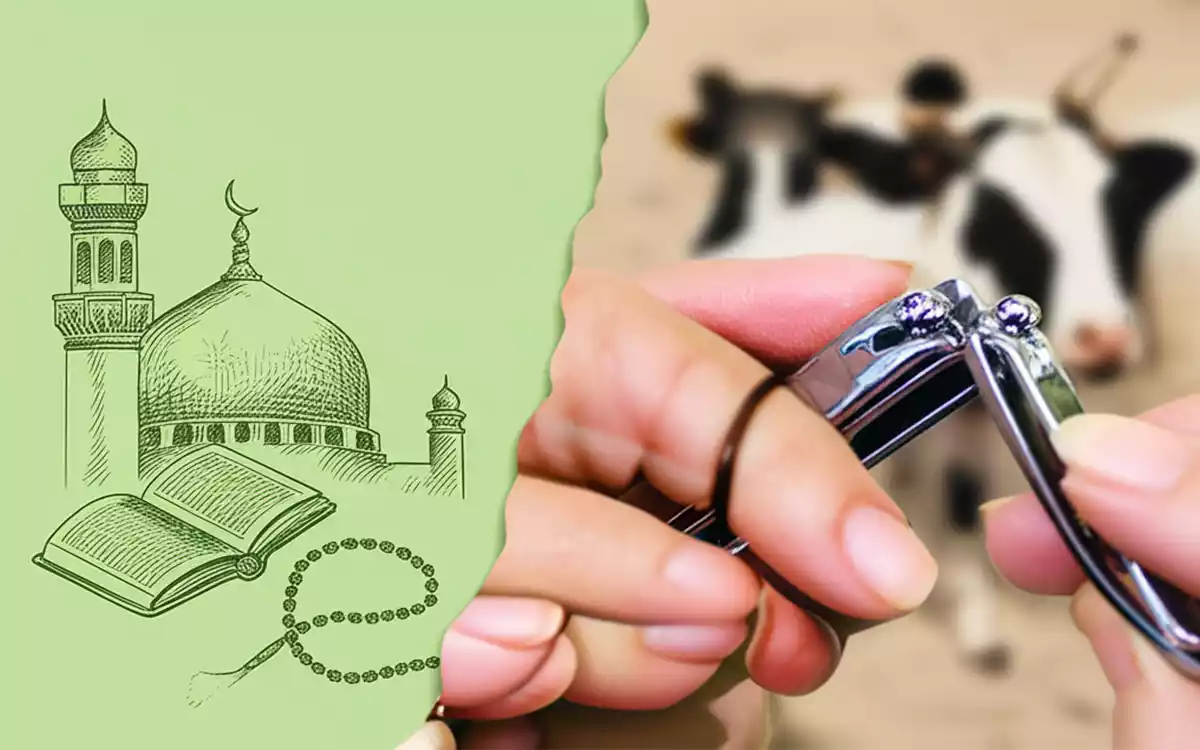 Cutting hair and nails before sacrifice