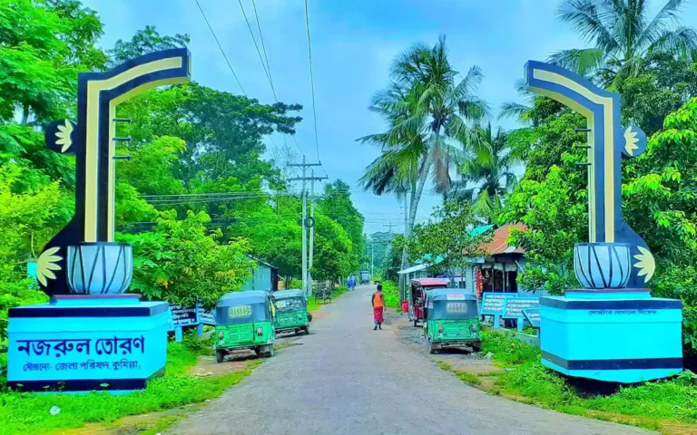 Rising Cumilla - Daulatpur কবিতীর্থ দৌলতপুর,Muradnagar, Cumilla