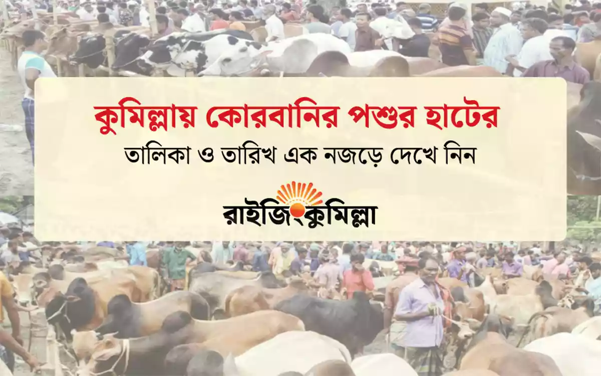 Rising Cumilla - EID Cow Market