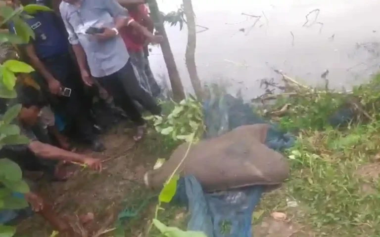 নোয়াখালীতে বস্তাবন্দি লাশের গুঞ্জন, উদ্ধার শেষে মিলল কুকুরের মৃতদেহ