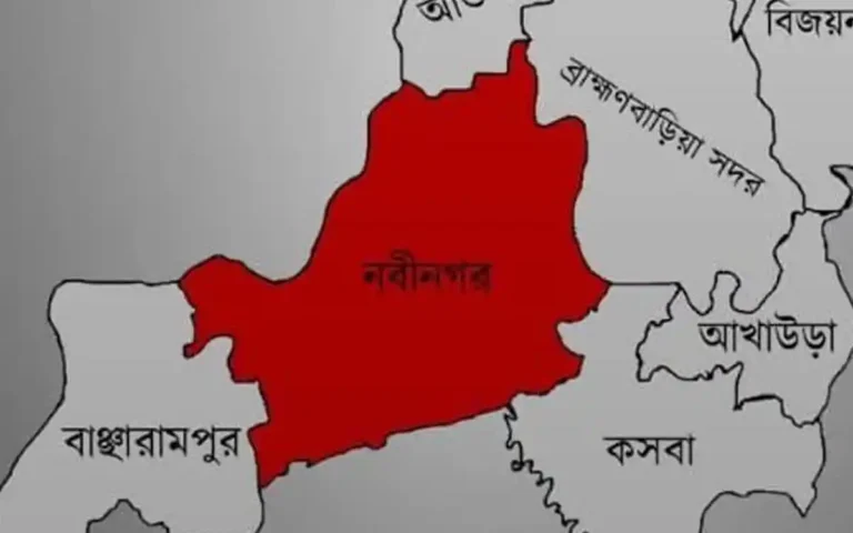 ব্রাহ্মণবাড়িয়া নবীনগরে লিচুর বিচি গলায় আটকে শিশুর মৃত্যু