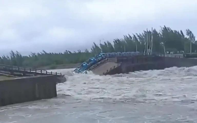 মুছাপুর ক্লোজার পুনর্নির্মাণ: কৃষি ও উপকূলীয় সুরক্ষায় নতুন প্রত্যাশা