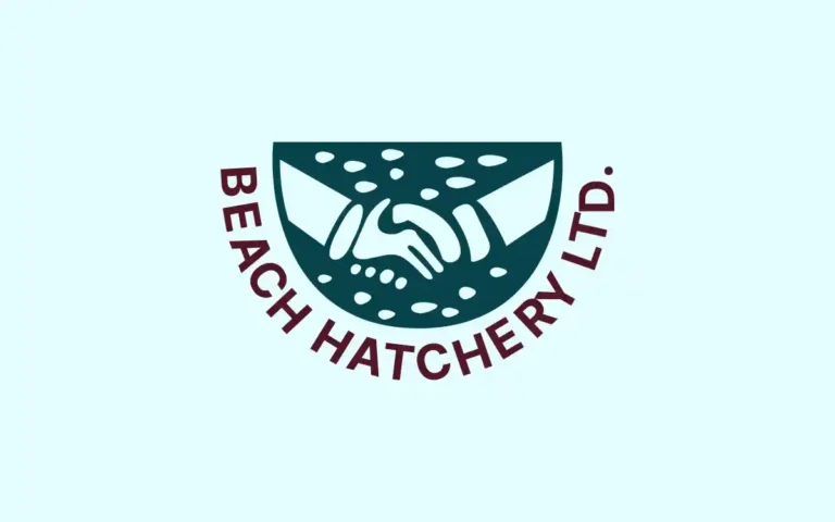 লেনদেনের শীর্ষে বীচ হ্যাচারি