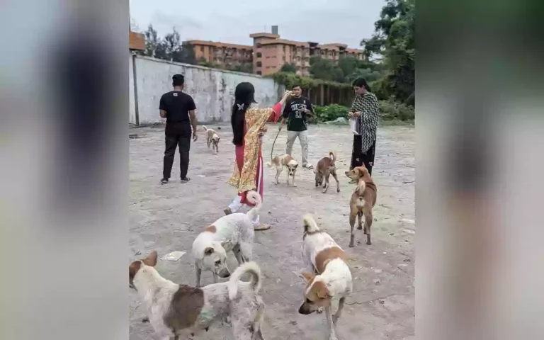 Barisal University students stand by neglected animals on closed campus