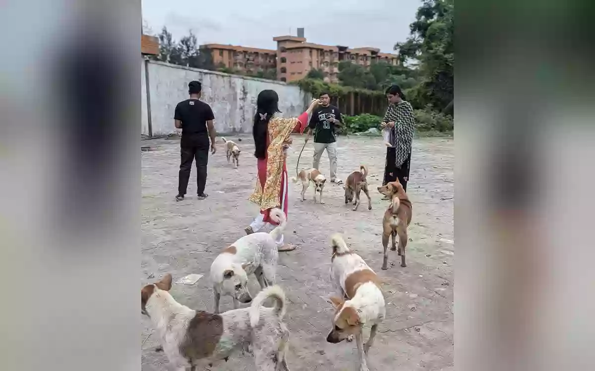 Barisal University students stand by neglected animals on closed campus